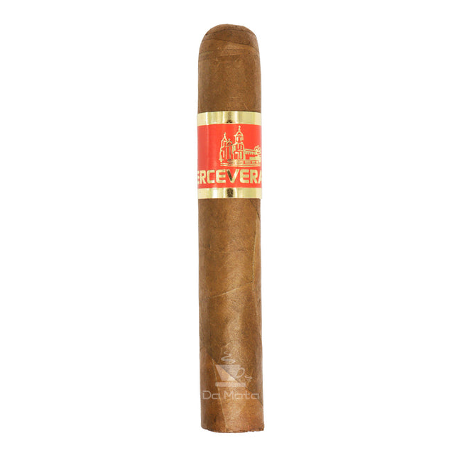 Perceverancia Robusto